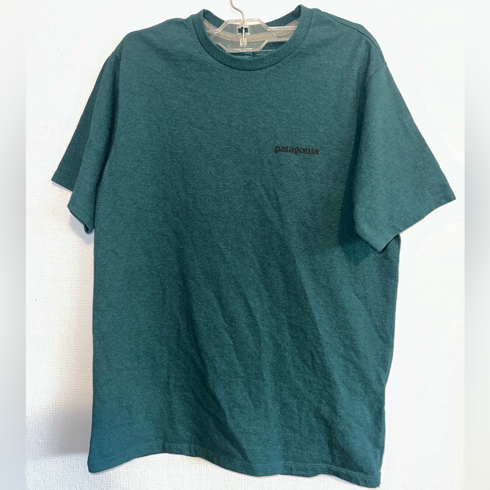 Patagonia Men's Teal Short Sleeve Tee